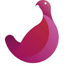 Ptarmigan Media Agency Logo