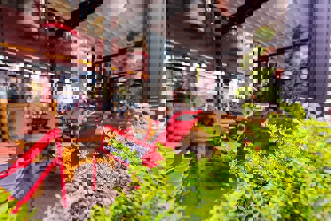 Oasis Interior Landscaping